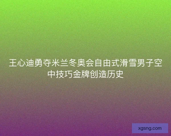 王心迪勇夺米兰冬奥会自由式滑雪男子空中技巧金牌创造历史